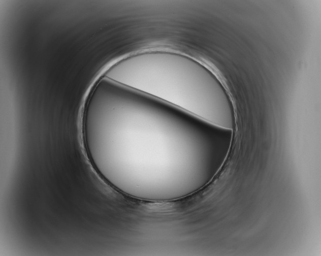 X0000100231392200805300717