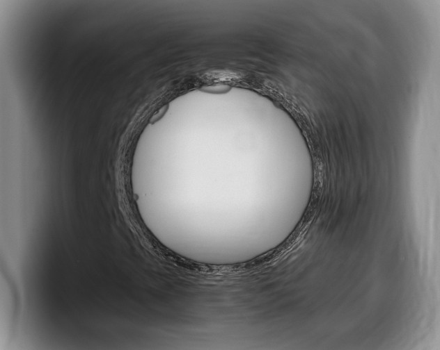 X0000100231393200805300716
