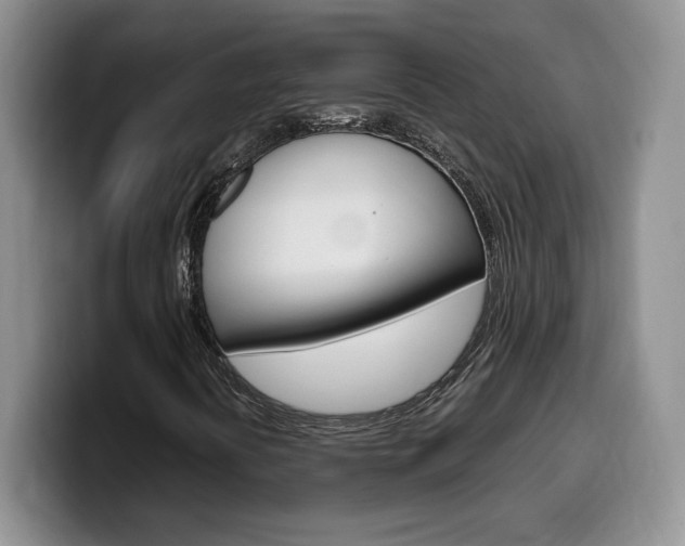 X0000100231394200805300716