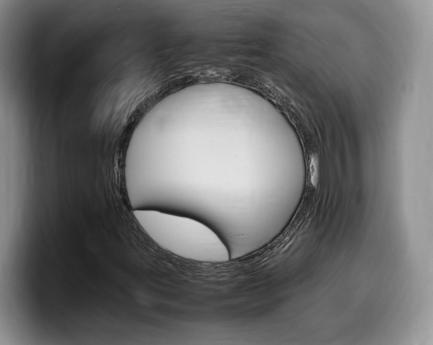 X0000100231395200805300716