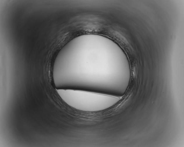 X0000100231396200805300716