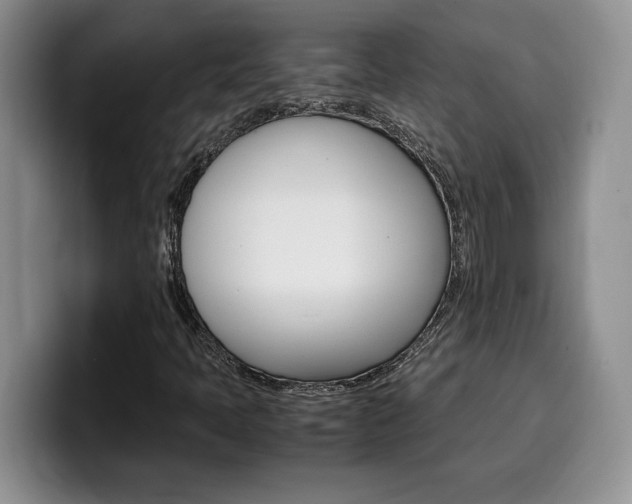 X0000100231397200805300716