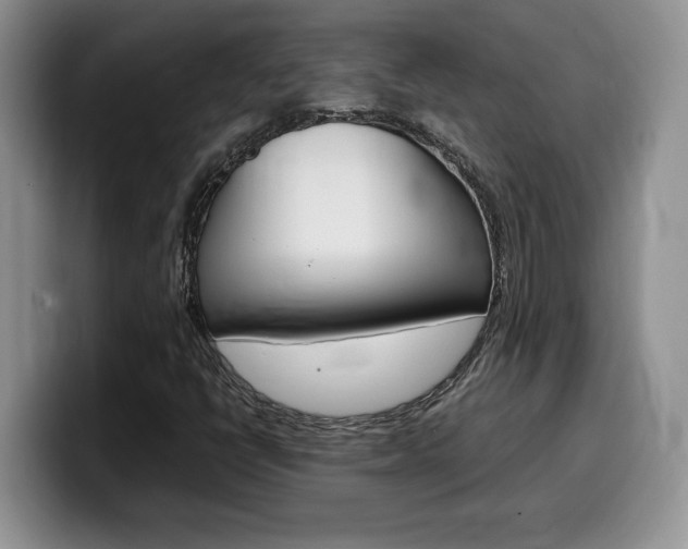 X0000100231398200805300716