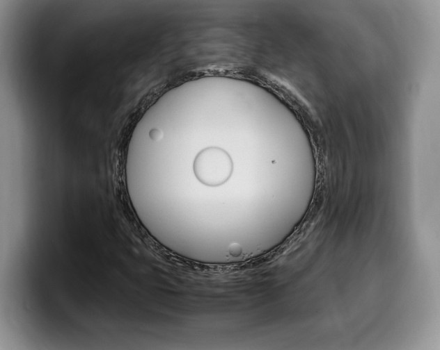 X0000100231399200805300716