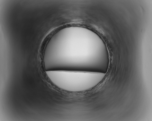 X0000100231400200805300716