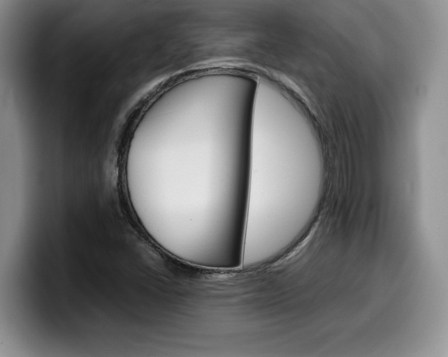 X0000100231406200805300716