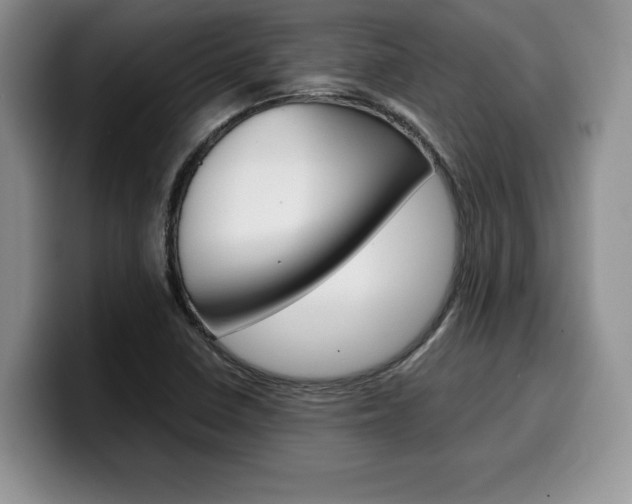 X0000100231410200805300716