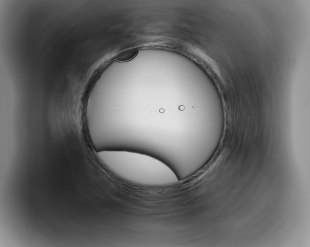 X0000100231411200805300716
