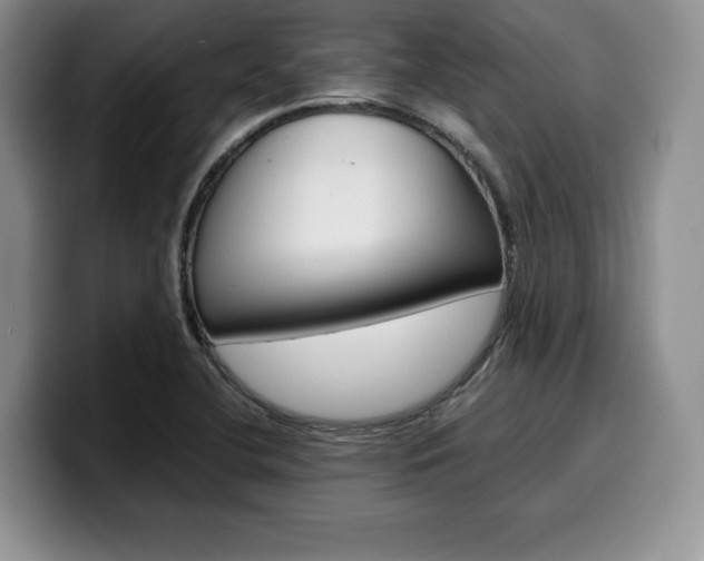X0000100231412200805300716