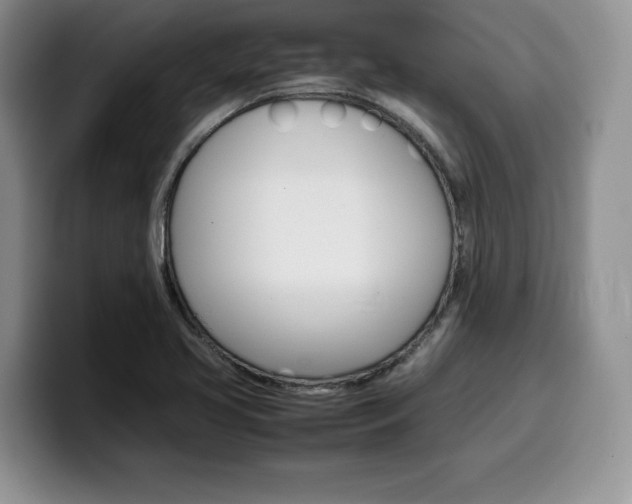 X0000100231413200805300716