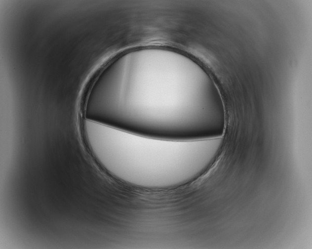 X0000100231414200805300716
