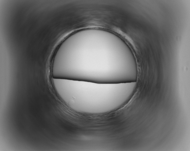 X0000100231415200805300716