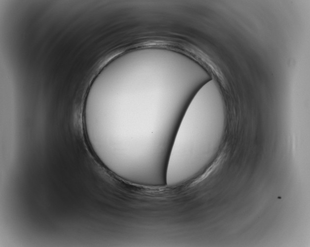X0000100231417200805300716