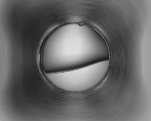 X0000100231418200805300716
