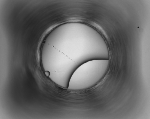 X0000100231419200805300716