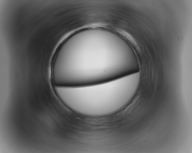 X0000100231420200805300716