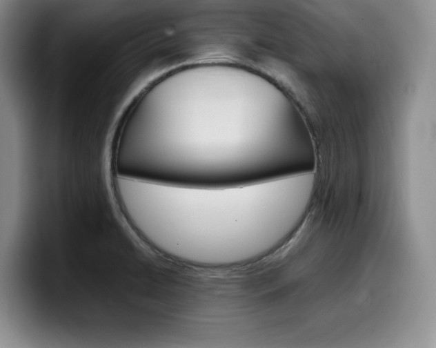 X0000100231422200805300716