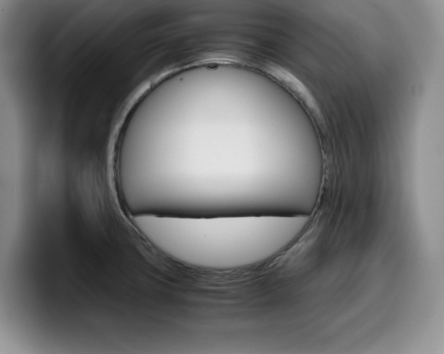 X0000100231427200805300716