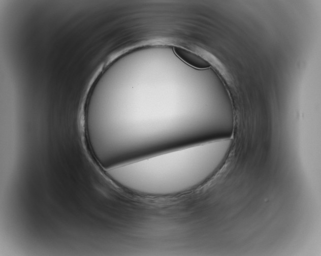X0000100231428200805300716