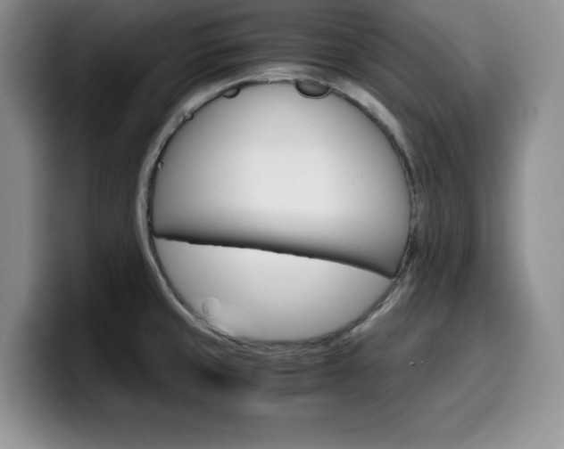 X0000100231429200805300716