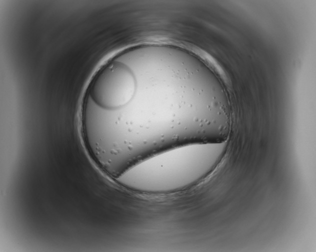X0000100231432200805300716