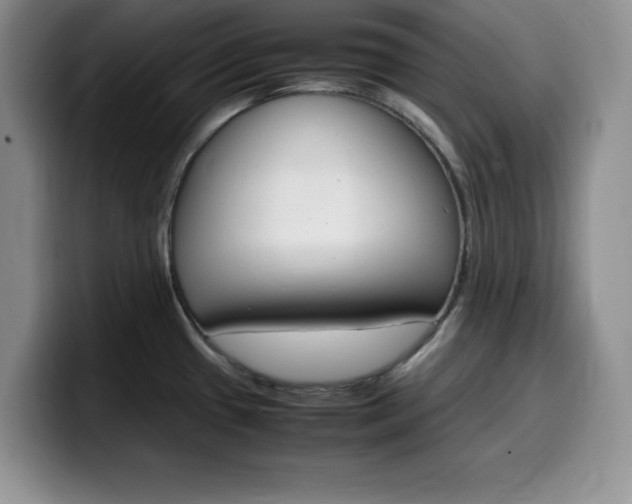 X0000100231433200805300716