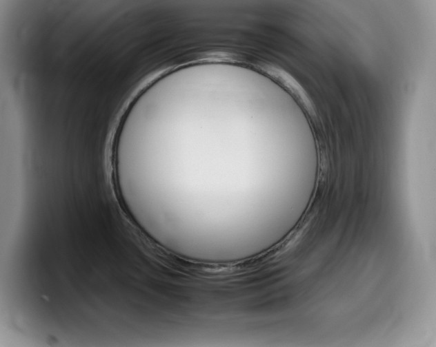 X0000100231435200805300716