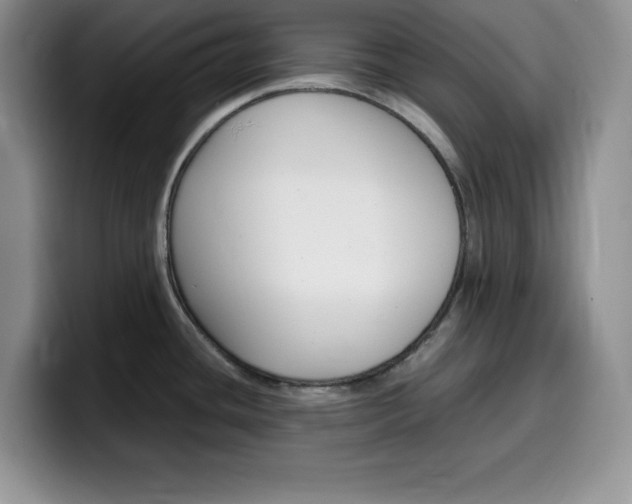 X0000100231436200805300717
