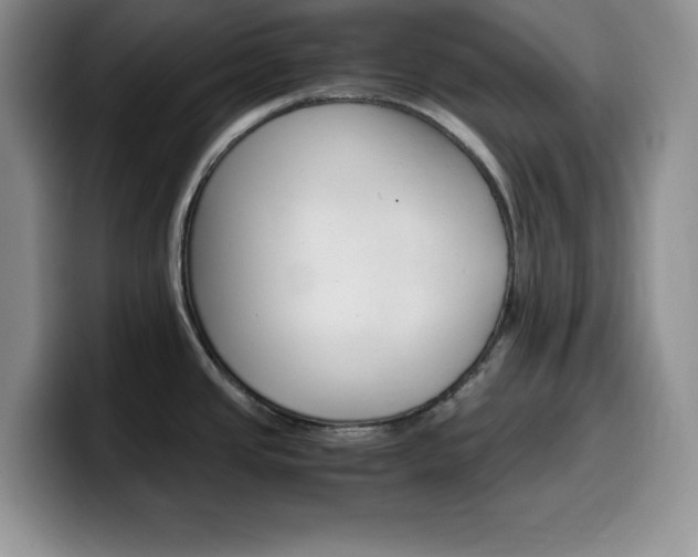 X0000100231437200805300717