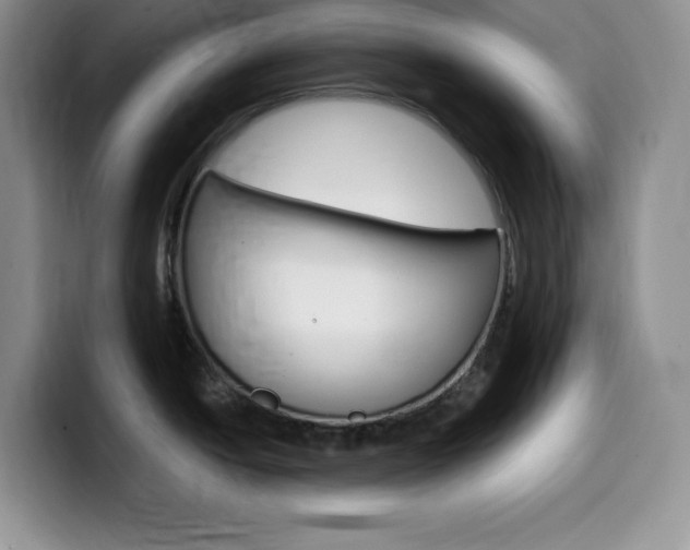 X0000100231438200805300717