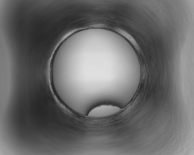 X0000100231439200805300717