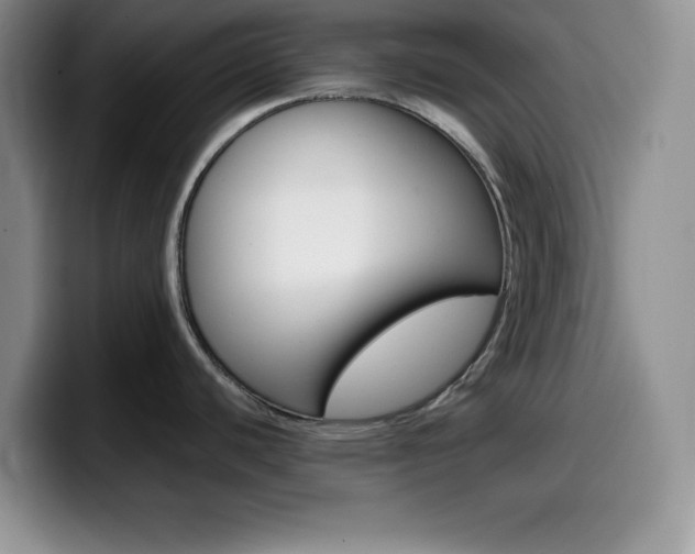 X0000100231440200805300717