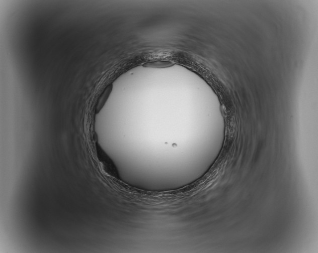 X0000100231441200805300716