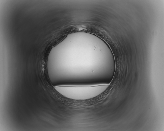 X0000100231442200805300716