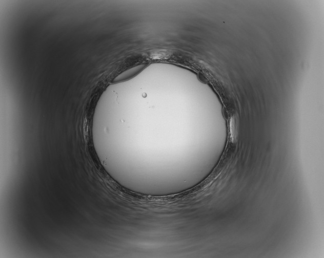 X0000100231443200805300716