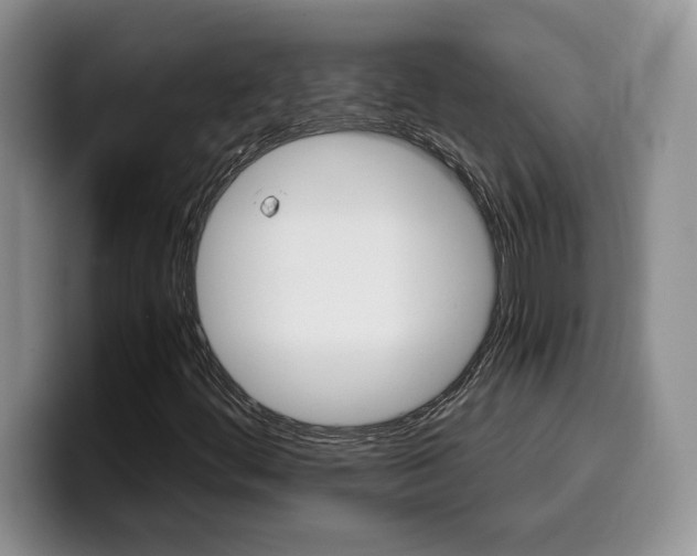 X0000100231444200805300716