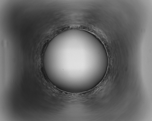 X0000100231445200805300716
