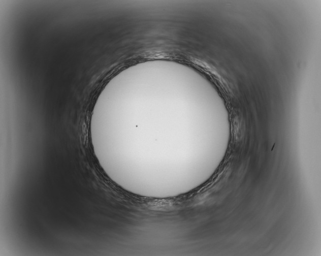 X0000100231446200805300716