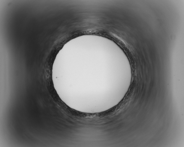 X0000100231447200805300716