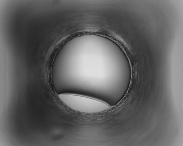 X0000100231448200805300716