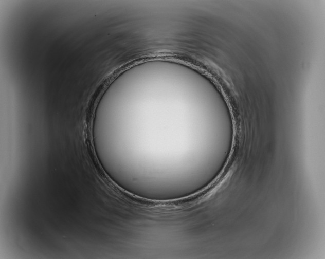 X0000100231449200805300716