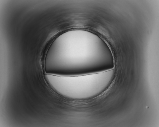 X0000100231450200805300716