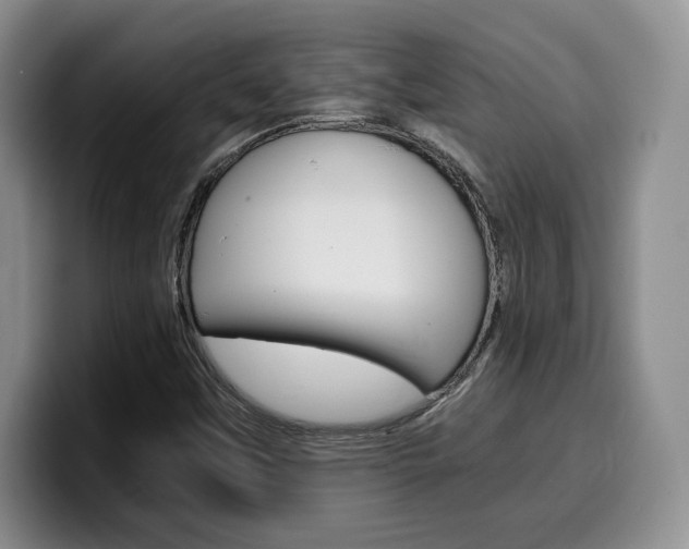 X0000100231451200805300716