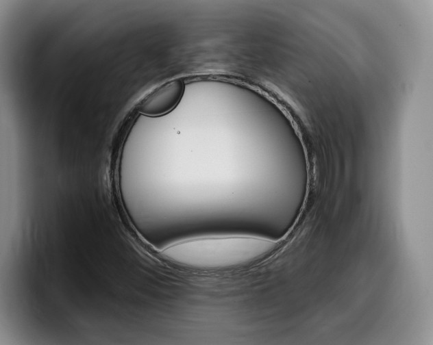 X0000100231452200805300716