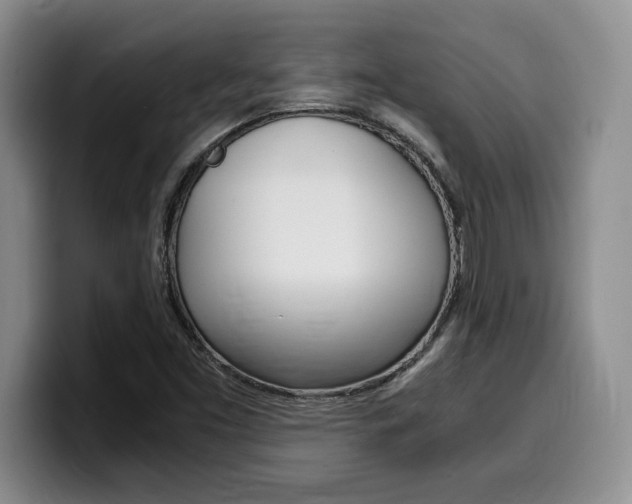 X0000100231453200805300716