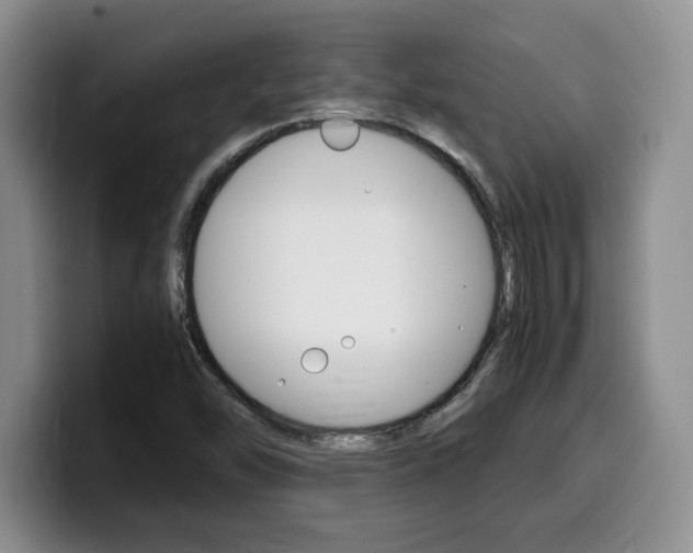 X0000100231454200805300716
