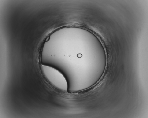 X0000100231455200805300716