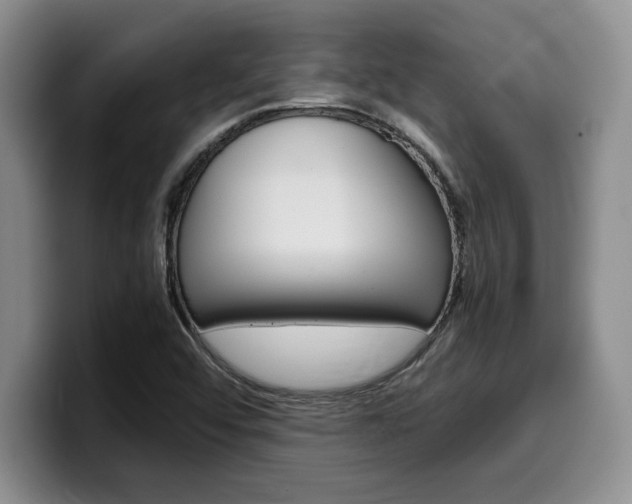 X0000100231456200805300716