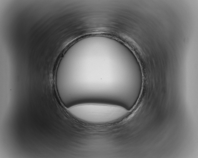 X0000100231457200805300716