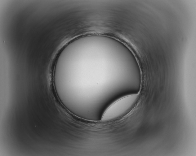 X0000100231459200805300716